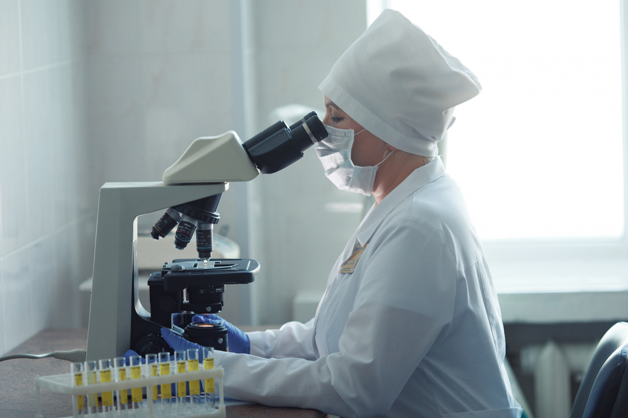 immunoferm.jpg